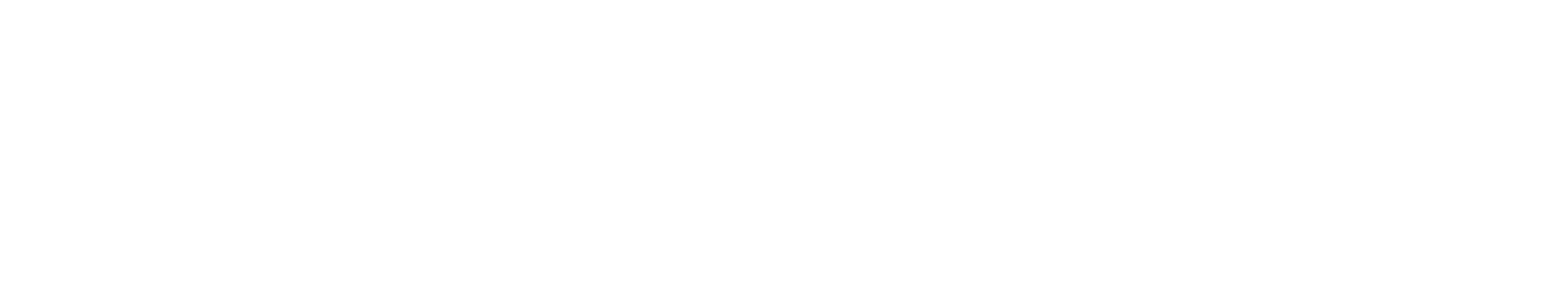New_Zealand_Post_Logo_White
