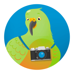 Scout-the-SCTI-Digital-Employee